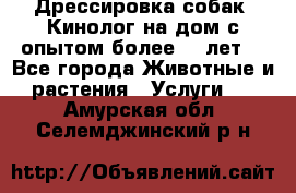 Дрессировка собак (Кинолог на дом с опытом более 10 лет) - Все города Животные и растения » Услуги   . Амурская обл.,Селемджинский р-н